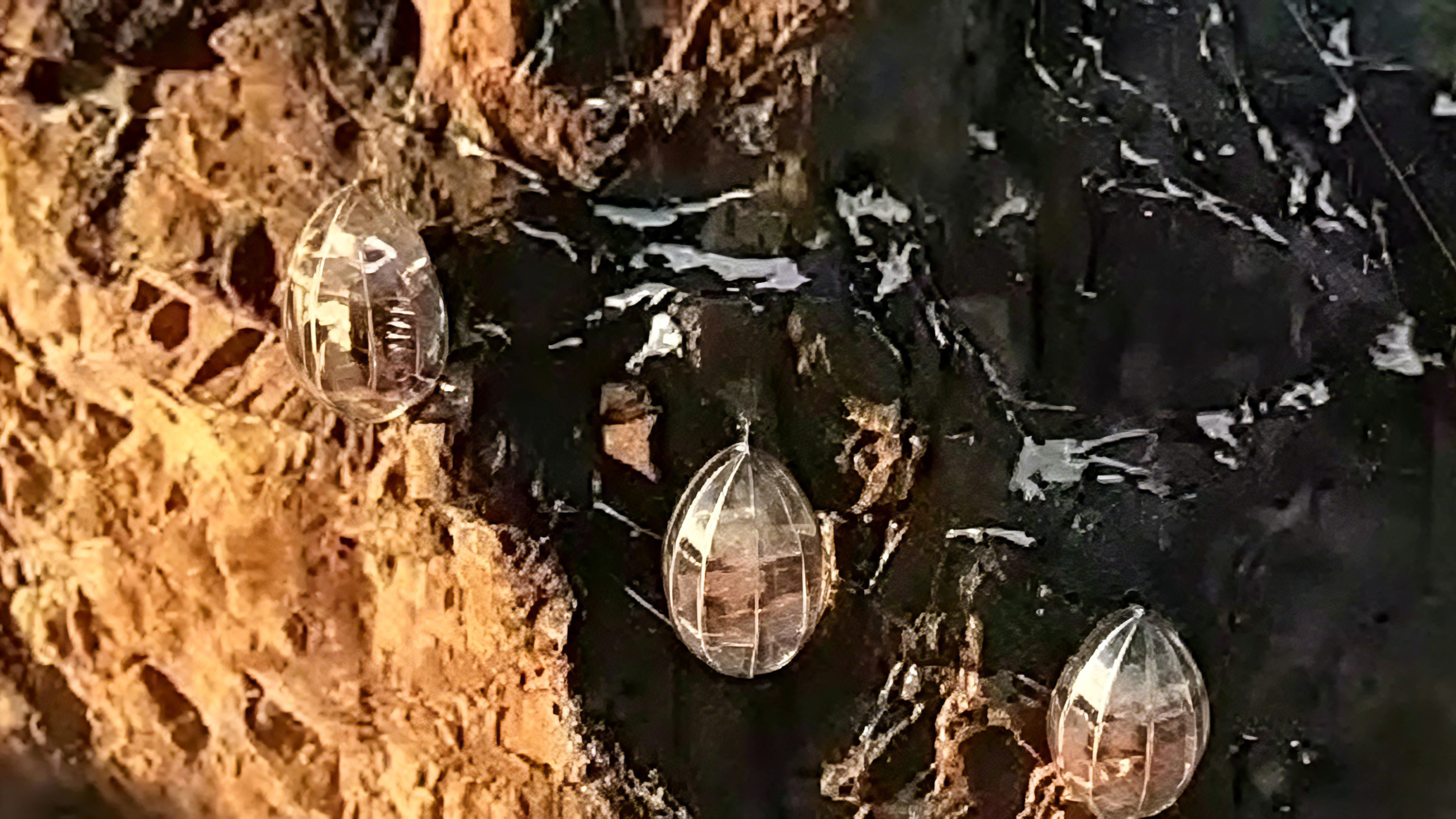 YouTube video poster