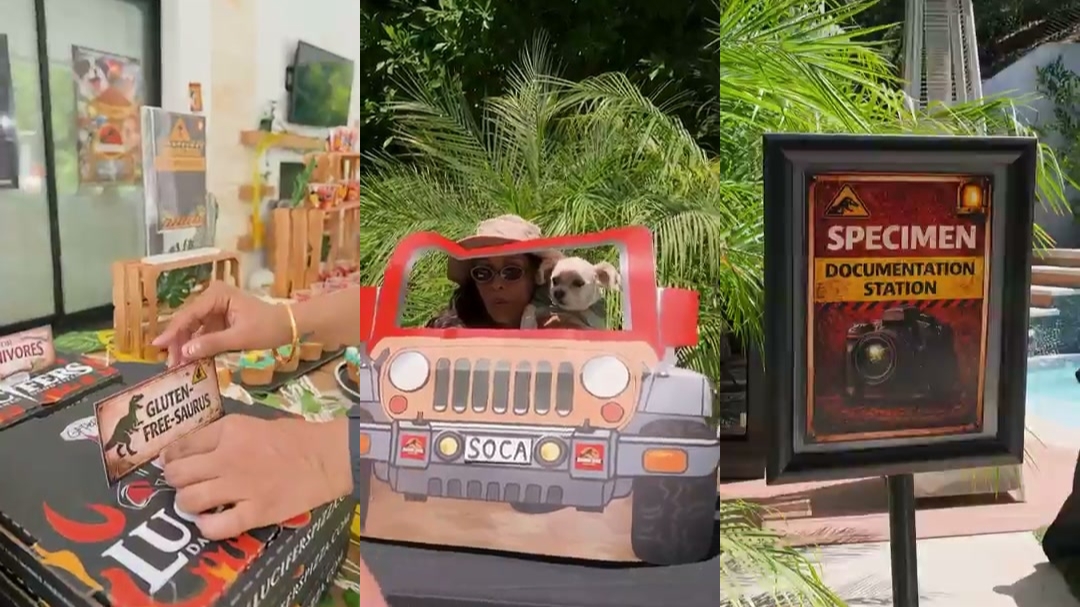 Detailed pun decorations at Lilly Singh’s dog birthday party